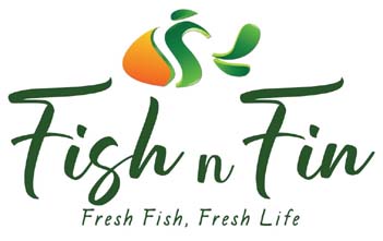 fishnfin.com